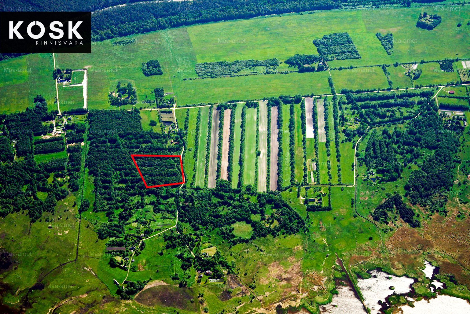 6a0f6b15b08236b42949875aa2d80e3deac3a4e031725.jpg